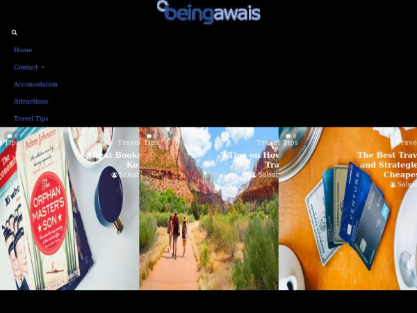 beingawaisali.com
